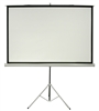 Screen (60" x 60")