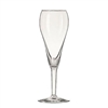 Champagne (Tulip)