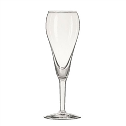 Champagne (Tulip)